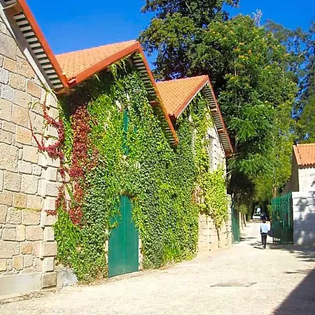 Casa Da Insua 5* Пеналва-ду-Каштелу