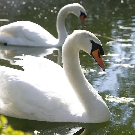 Hotell Casa Da Insua Penalva do Castelo
