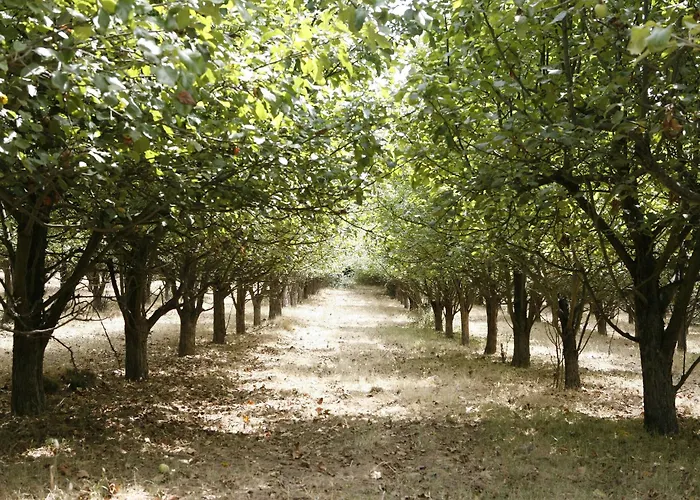 Casa Da Insua Hotel 5*