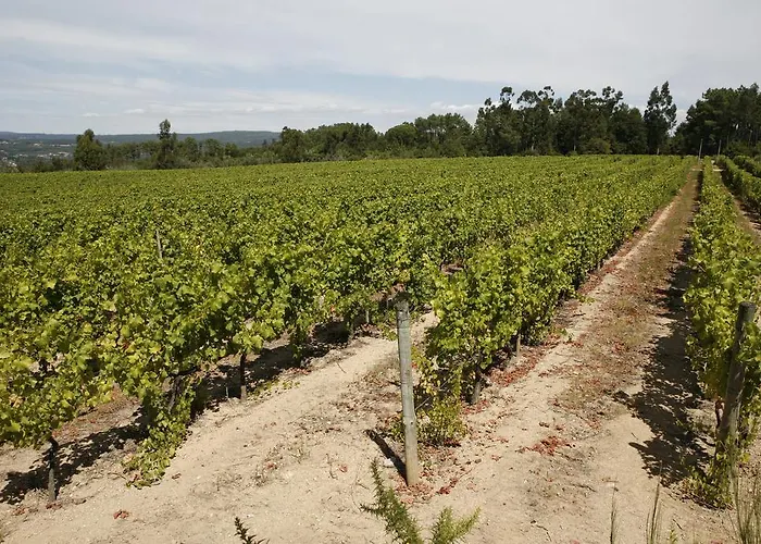 Casa Da Insua 5* Penalva do Castelo