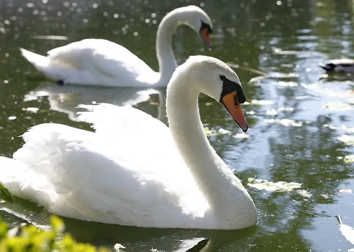 Hotel Casa Da Insua Penalva do Castelo